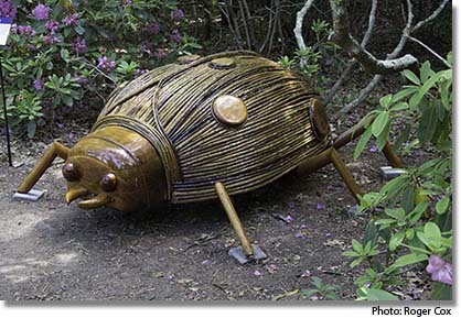 Giant insect sculptures at Heritage Museums and Gardens in Sandwich, MA